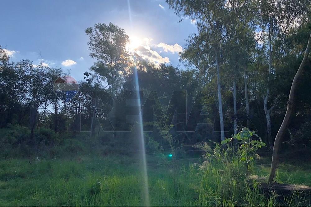 Terreno — San Juan Del Paraná — 3/5