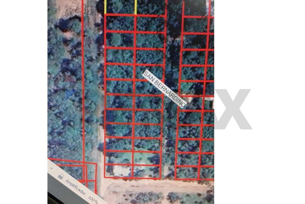 🚨 OPORTUNIDAD DE INVERSIÓN EN SAN BERNARDINO TERRENO EN ZONA DE ALTA VALORIZACIÓN 🚨 — foto 2