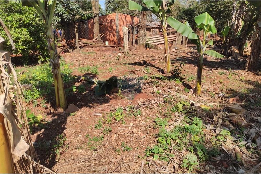 Terreno — El Pinar — 5/5