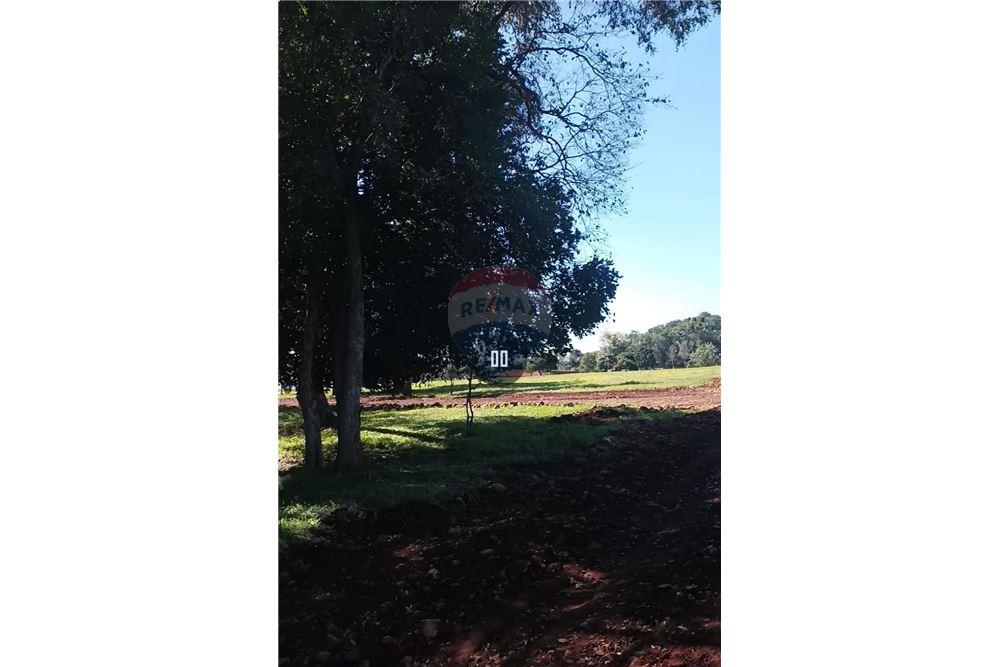 Terreno — Itá Paso — 5/5