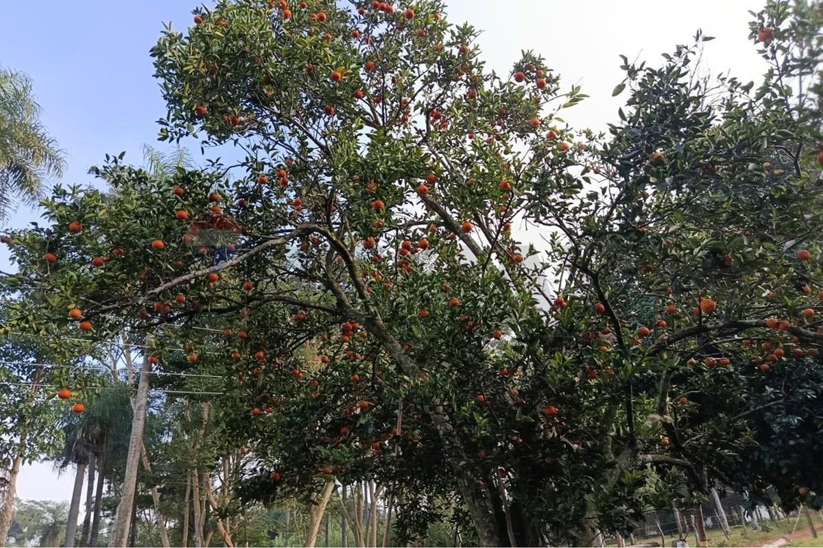 Terreno — Villeta — 4/5