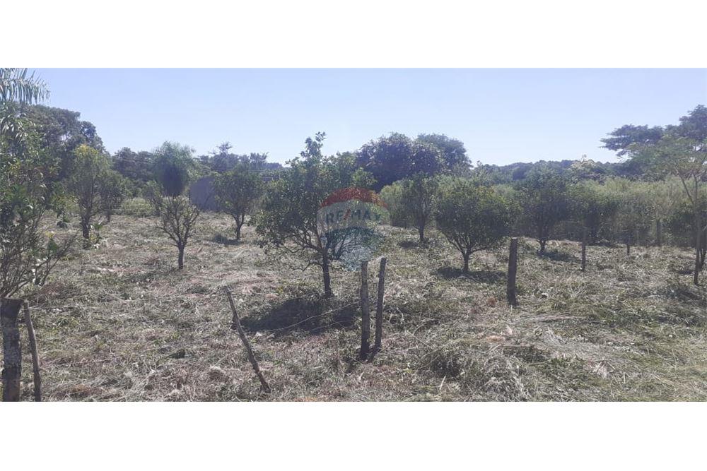 Terreno — San Juan Del Paraná — 3/5