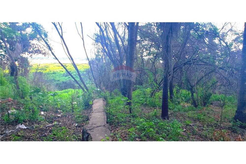 Terreno — Caacupémi — 3/4