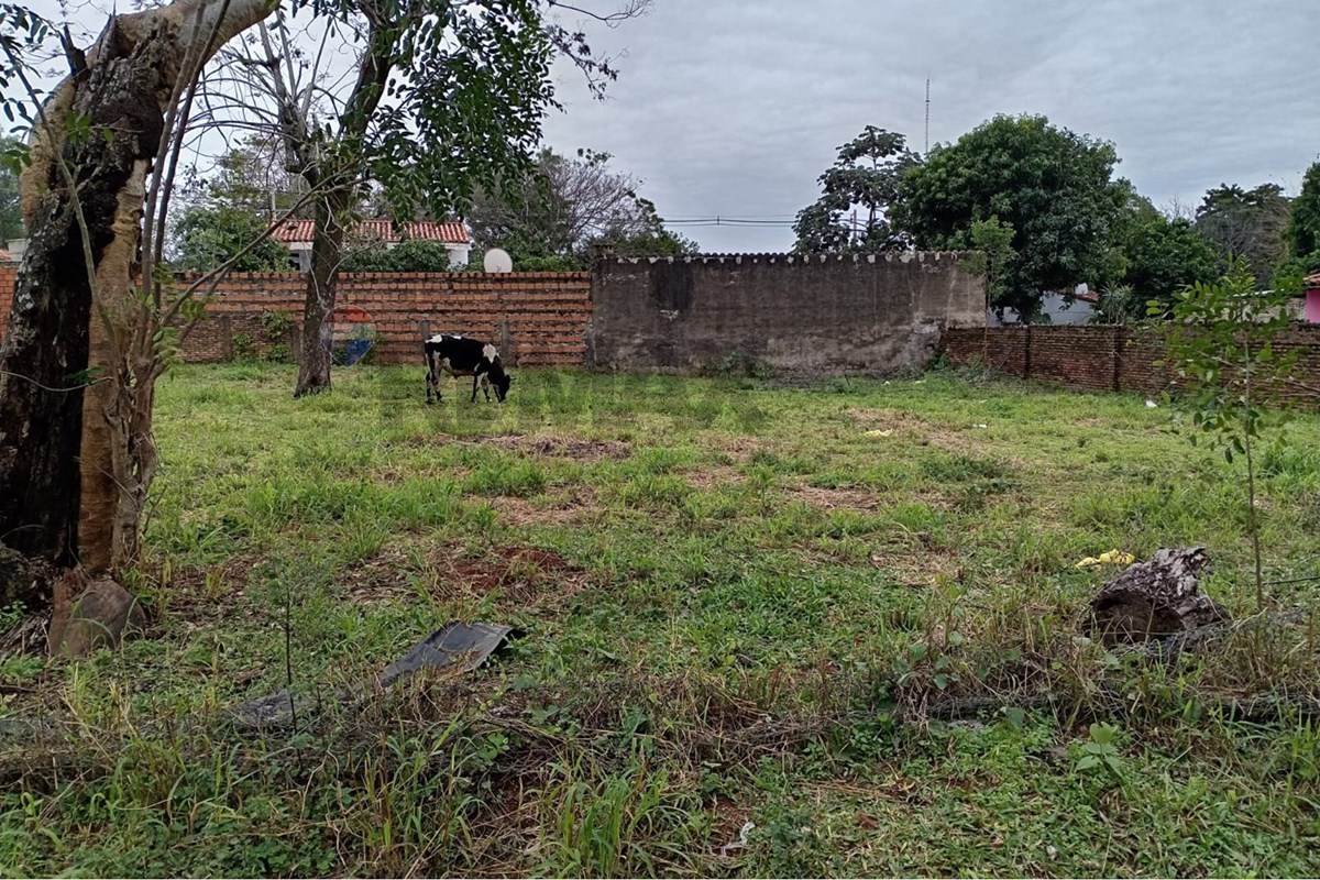 Terreno — Aregua — 2/3