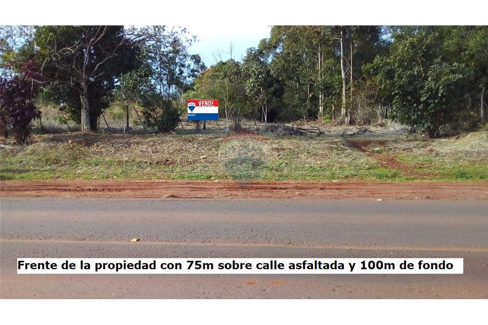 Terreno — Capitán Miranda — 1/5