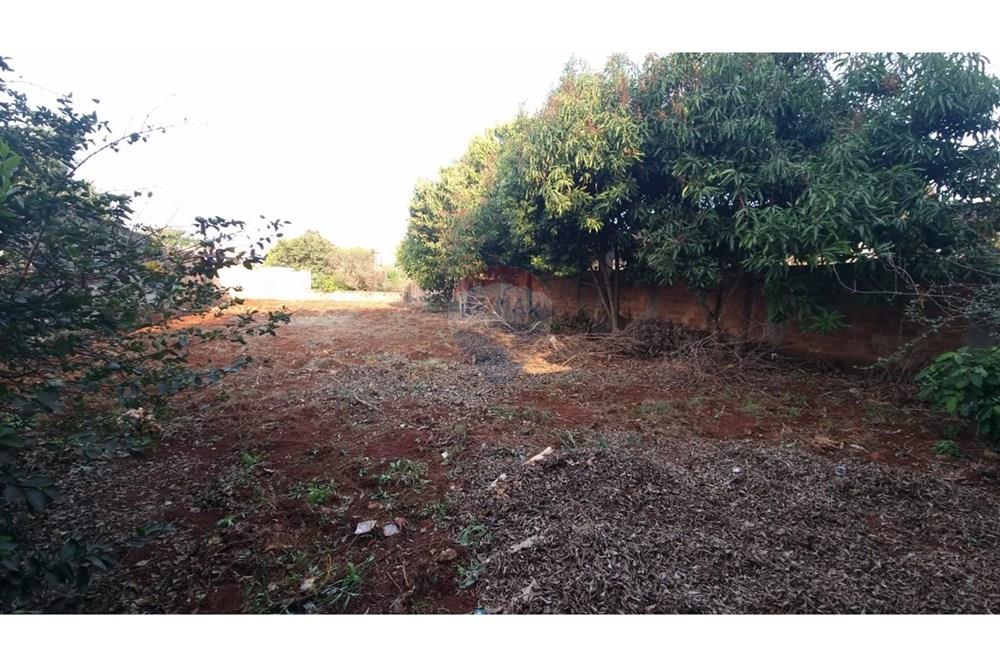 Terreno — Don Bosco — 5/5