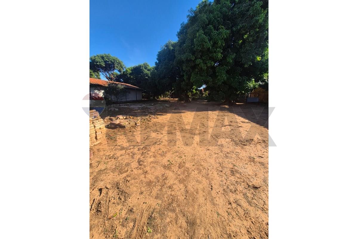Terreno — Arsenio Erico — 1/5
