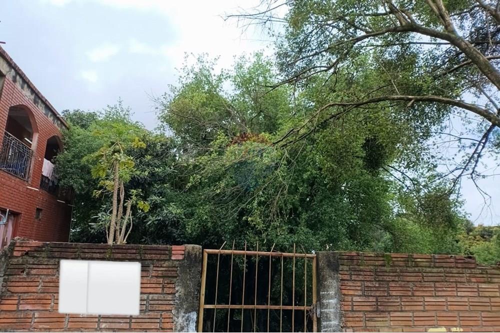 Terreno — Encarnación — 5/5