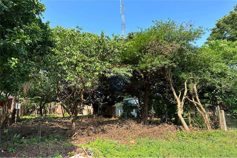 Terreno — Hernandarias — 5/5
