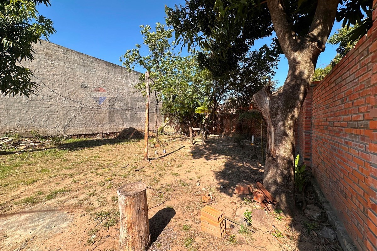 Terreno — Limpio — 4/4