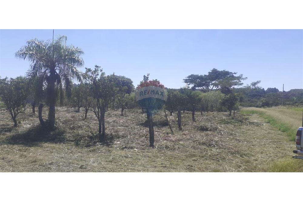 Terreno — San Juan Del Paraná — 5/5