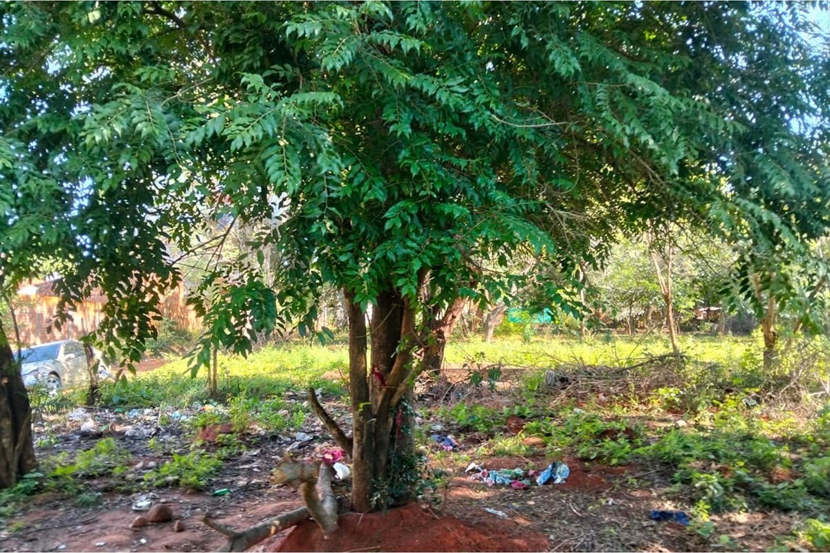 Terreno — Aguapey — 4/5