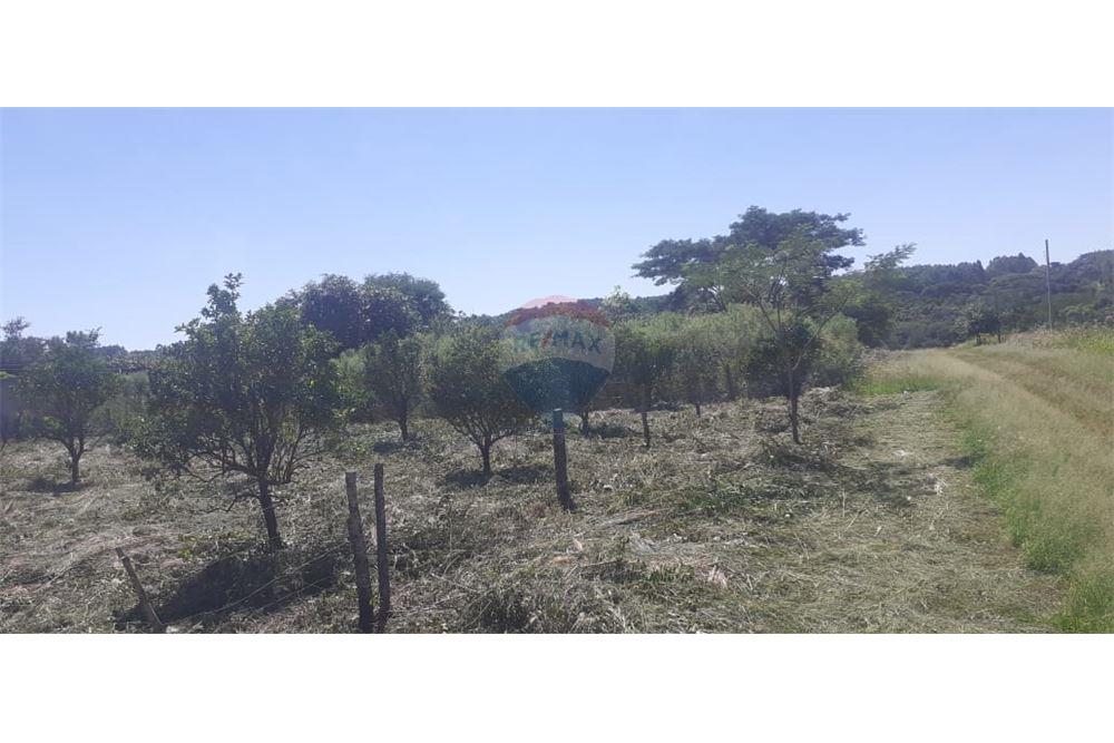 Terreno — San Juan Del Paraná — 4/5