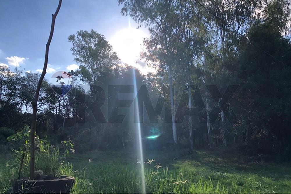 Terreno — San Juan Del Paraná — 2/5