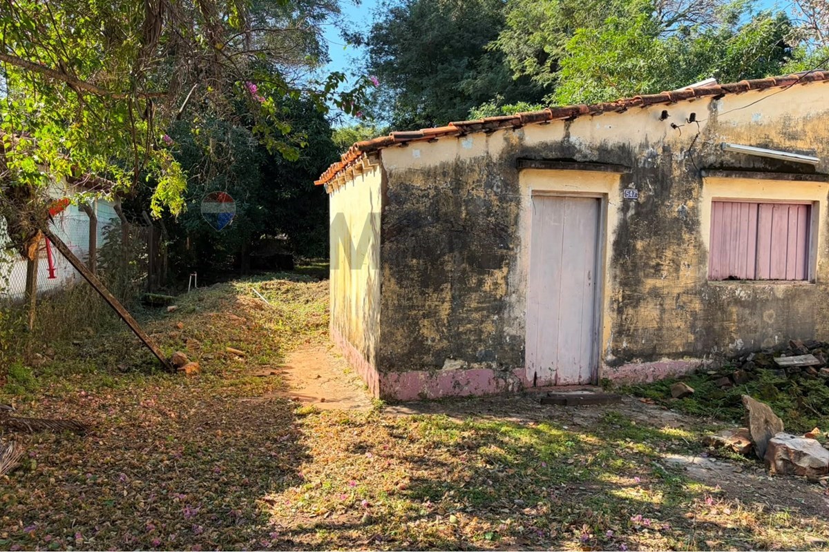 Terreno — Fernando De La Mora — 4/5