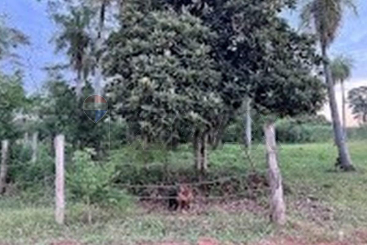 Terreno — Ñu Po'i — 4/5