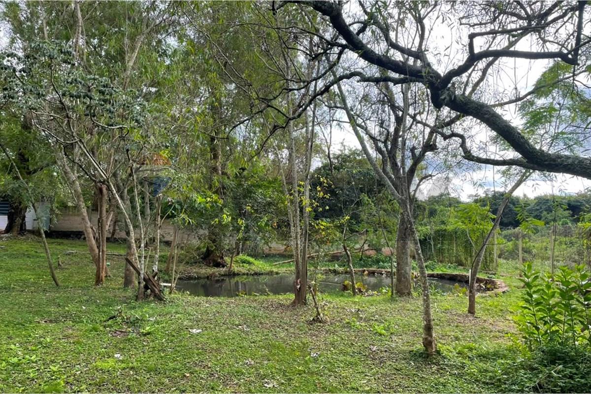 Terreno — Itauguá — 2/5