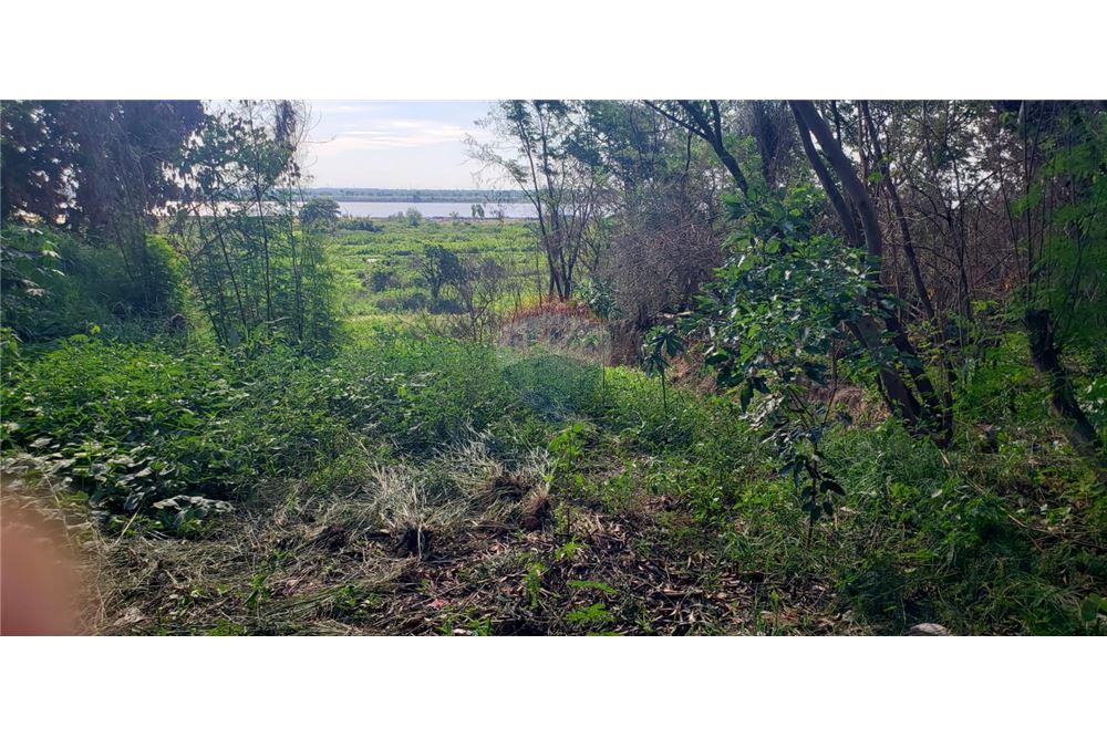 Terreno — Caacupémi — 2/4