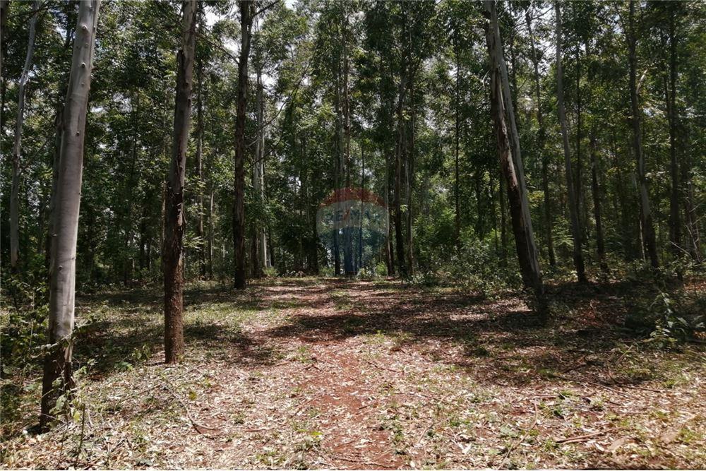 Terreno — Cambyretá — 4/5