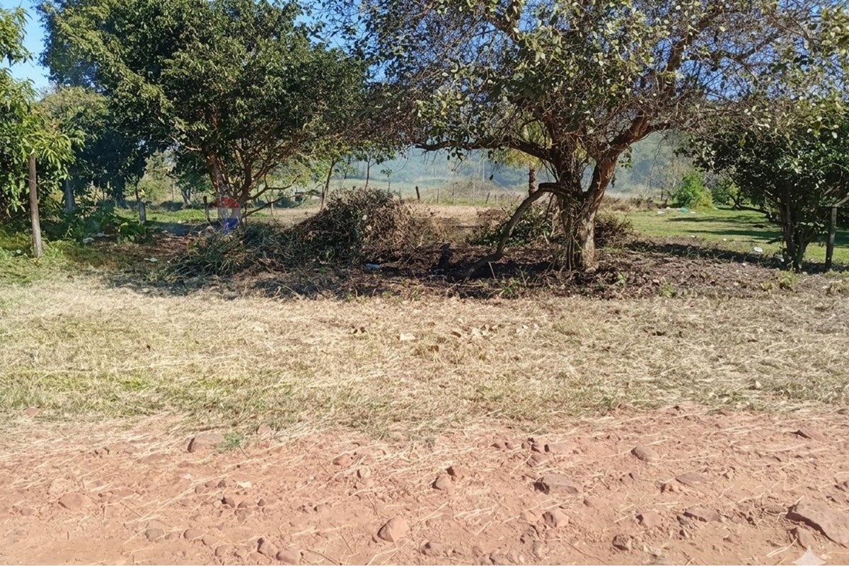 Terreno — Estanzuela — 1/4