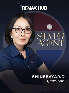 Shinebayar Dashdavaa