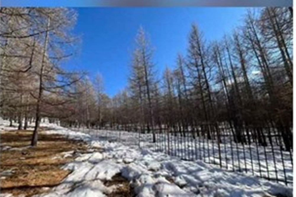 1400мкв газар зарна