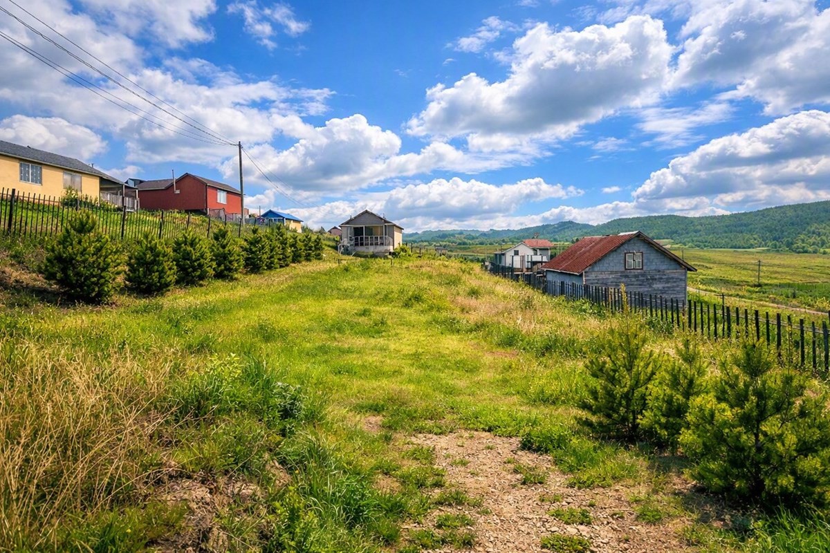 Шарга Морьтод зуслангийн газар зарна,