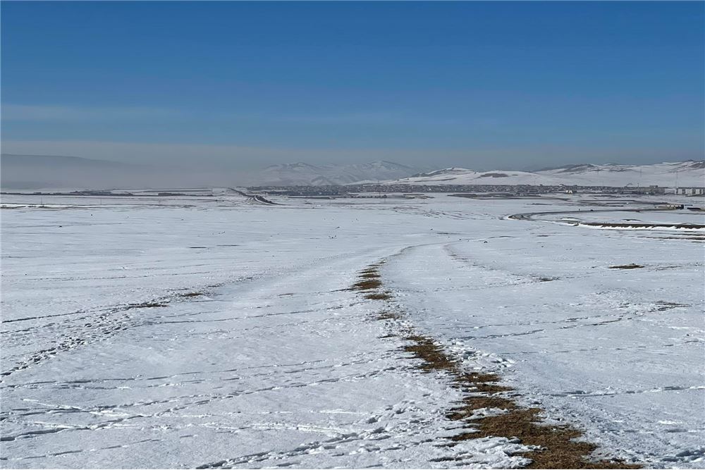 20000мкв газар зарна