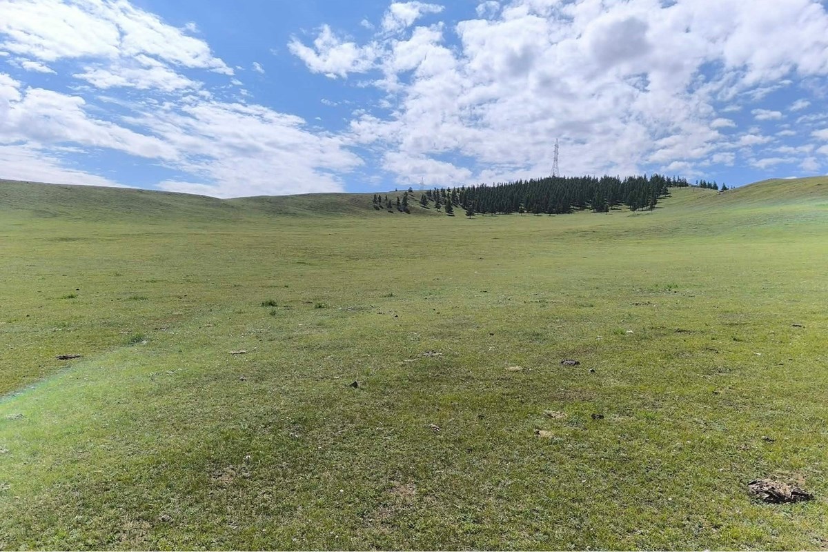 land for sale — 4