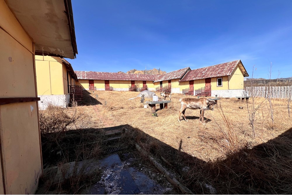 A resort with 2 hectares of land in Terelj — 12