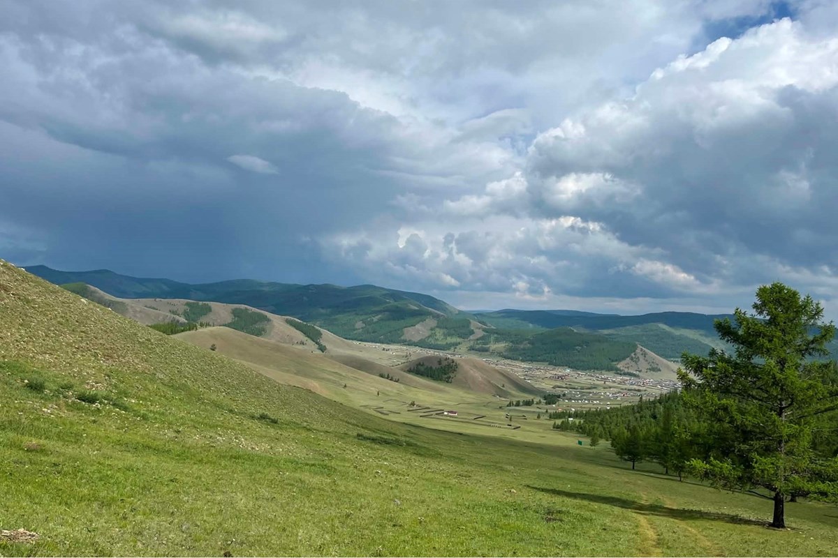 700мкв газар зарна