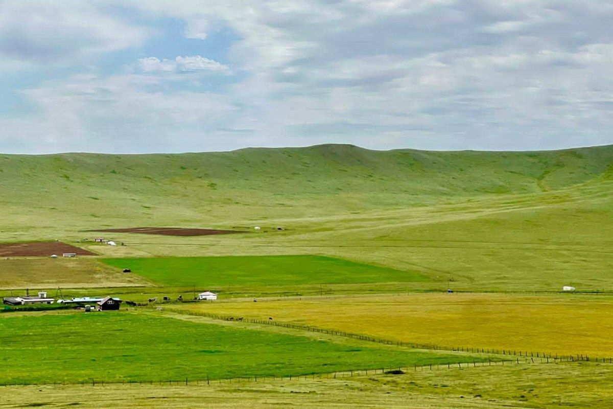 Аж Үйлдвэрийн Төгс Байршилтай Ферм