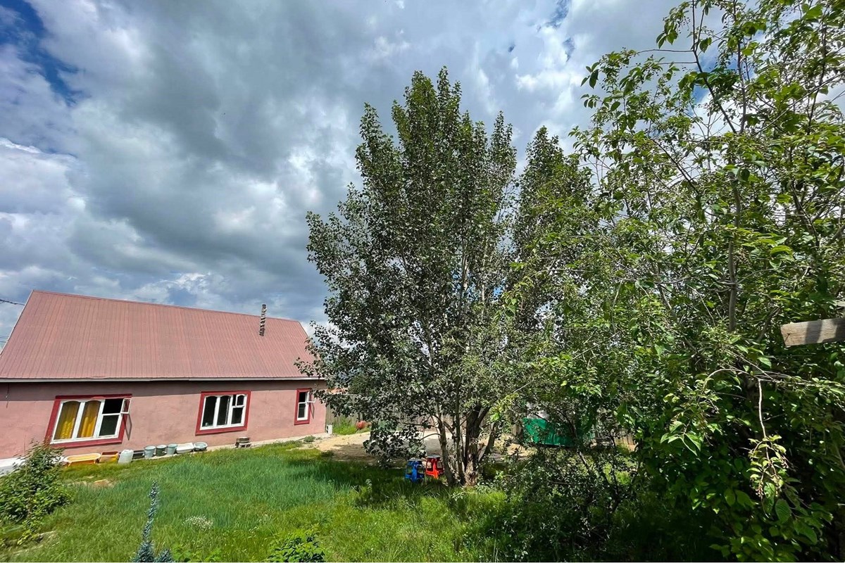 yard house for sale — 7