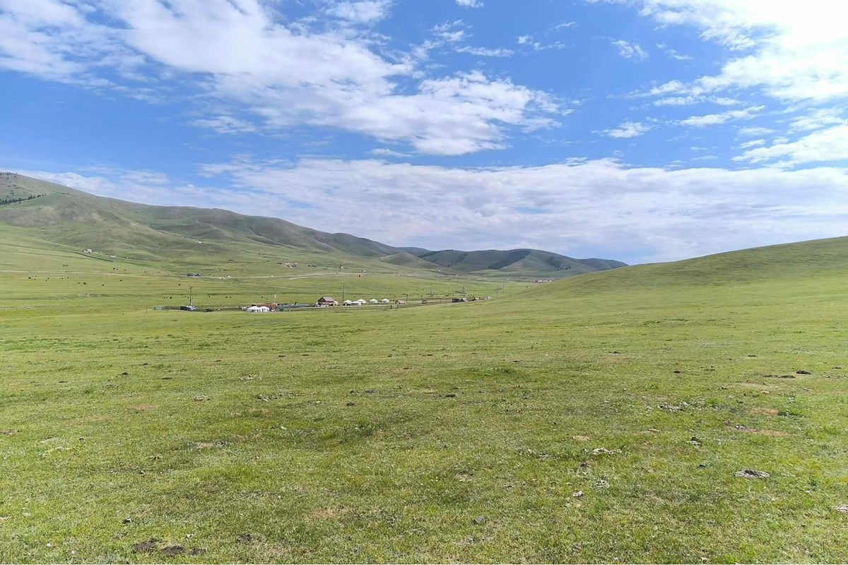 land for sale — 6