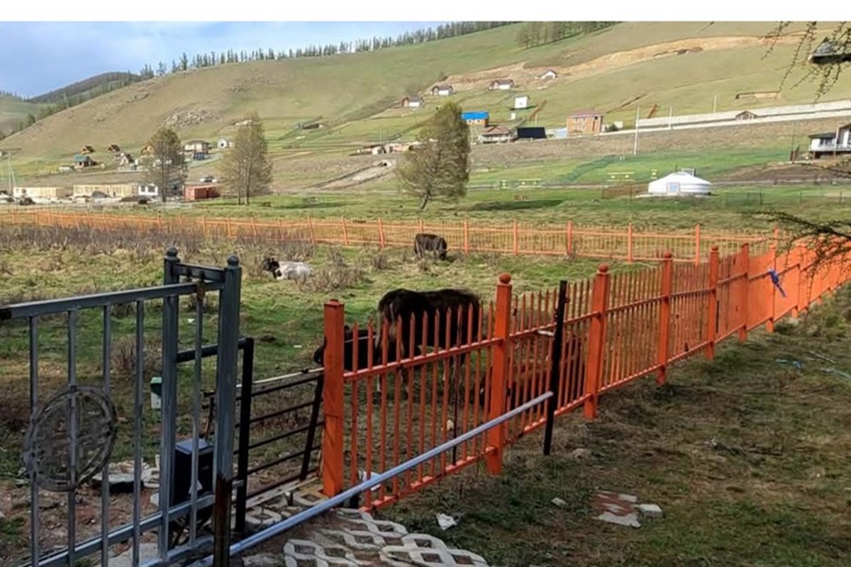 АР ГҮНТ 1 АЙЛЫН ГАЗАР ЗАРНА.