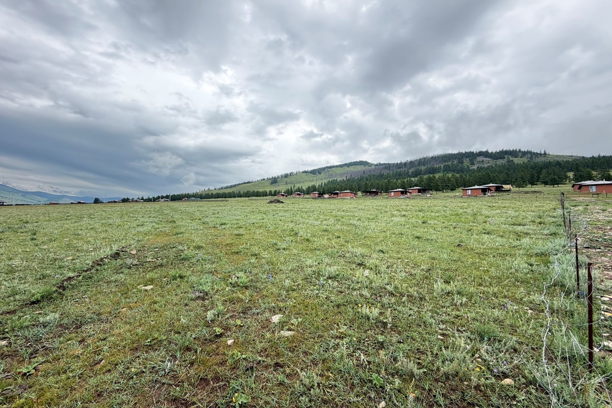 land for sale — 12