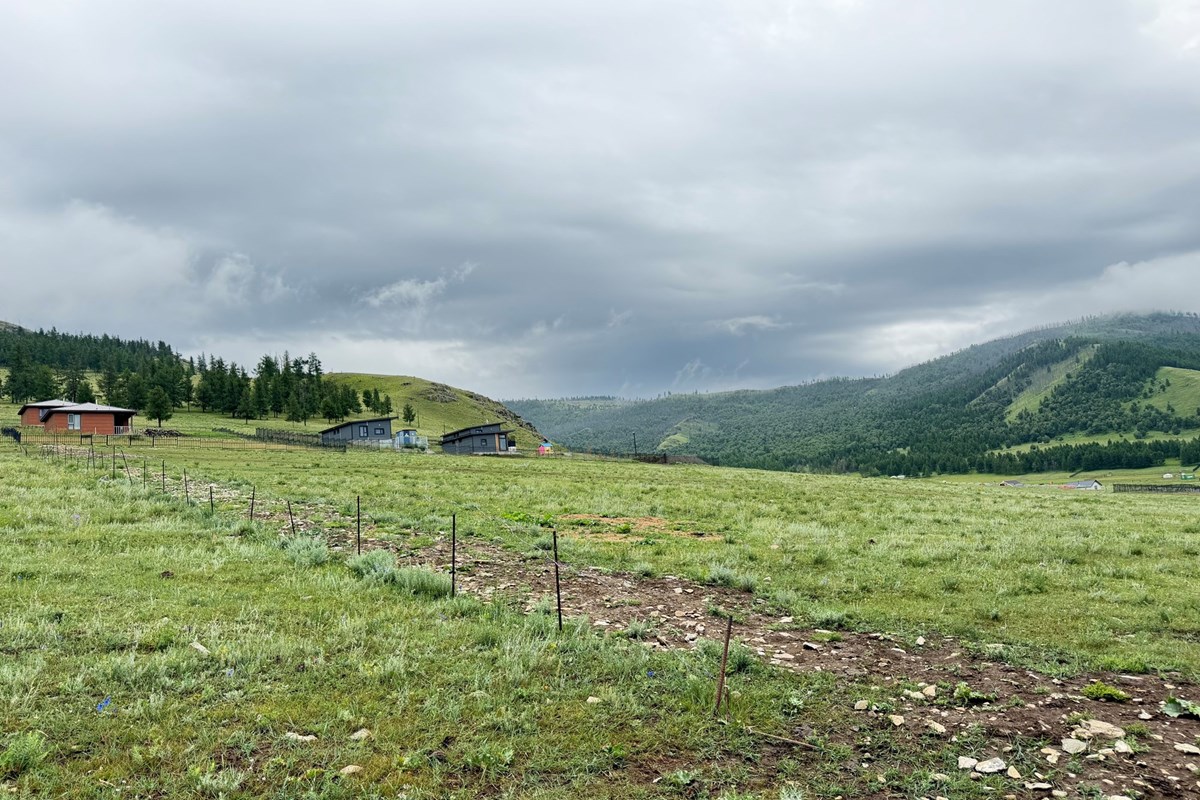 land for sale — 3