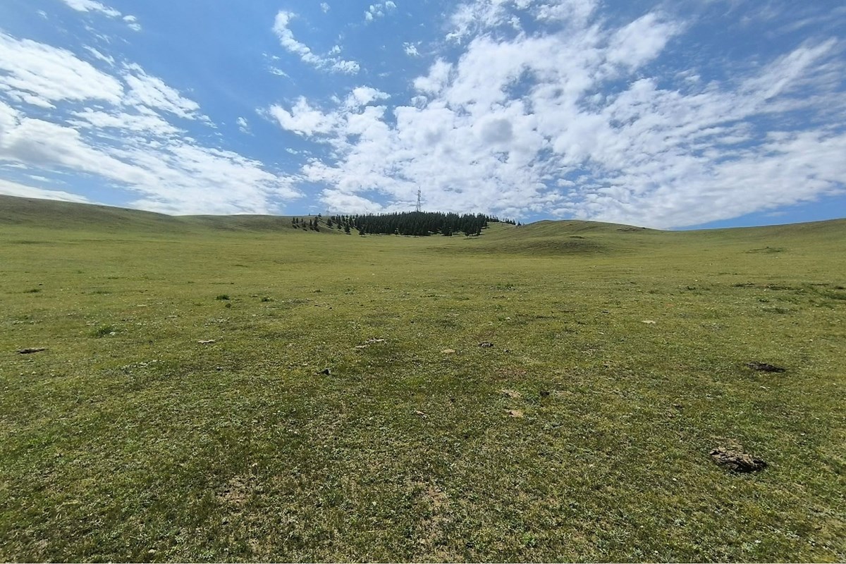land for sale — 8