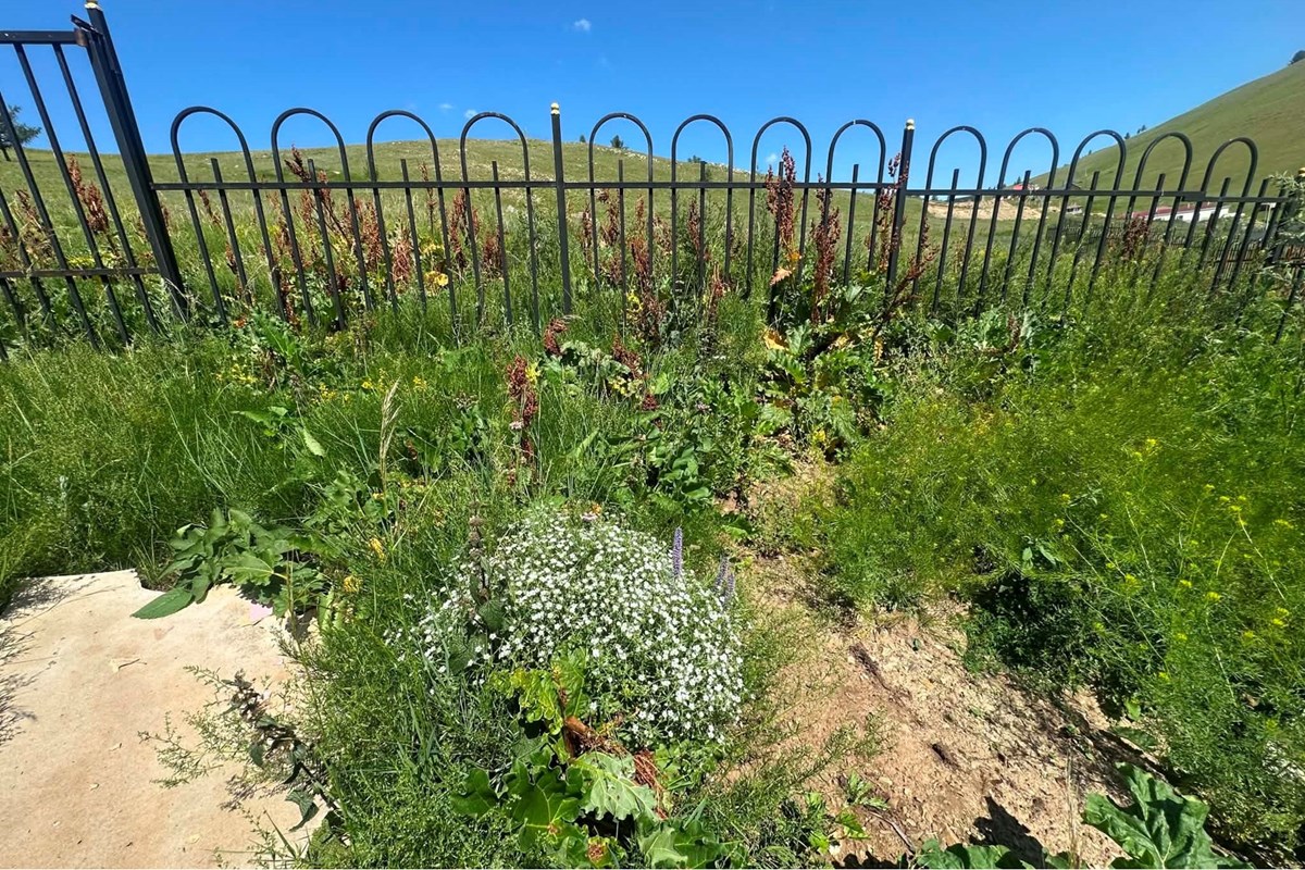 1379m² land for sale — 10