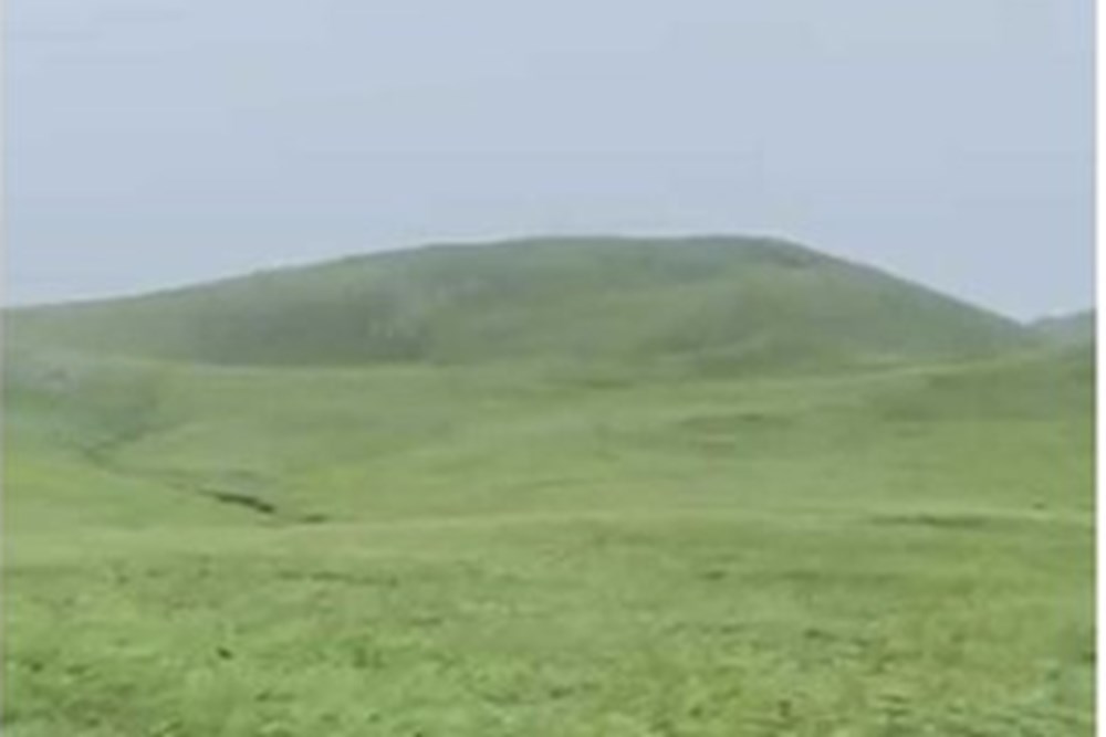 13000мкв газар зарна