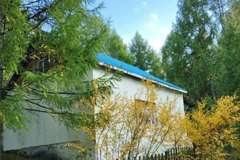 699мкв газар зарна