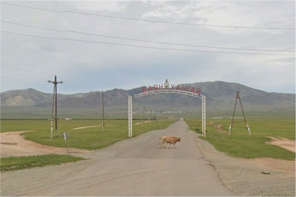 5000мкв газар зарна