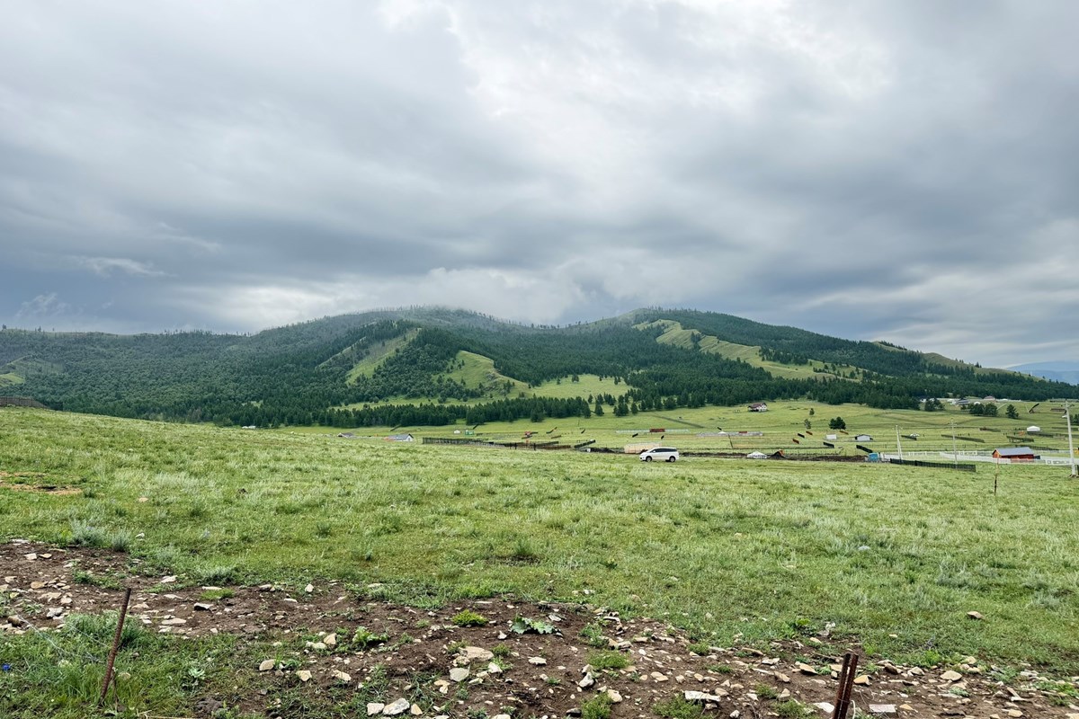 land for sale — 2