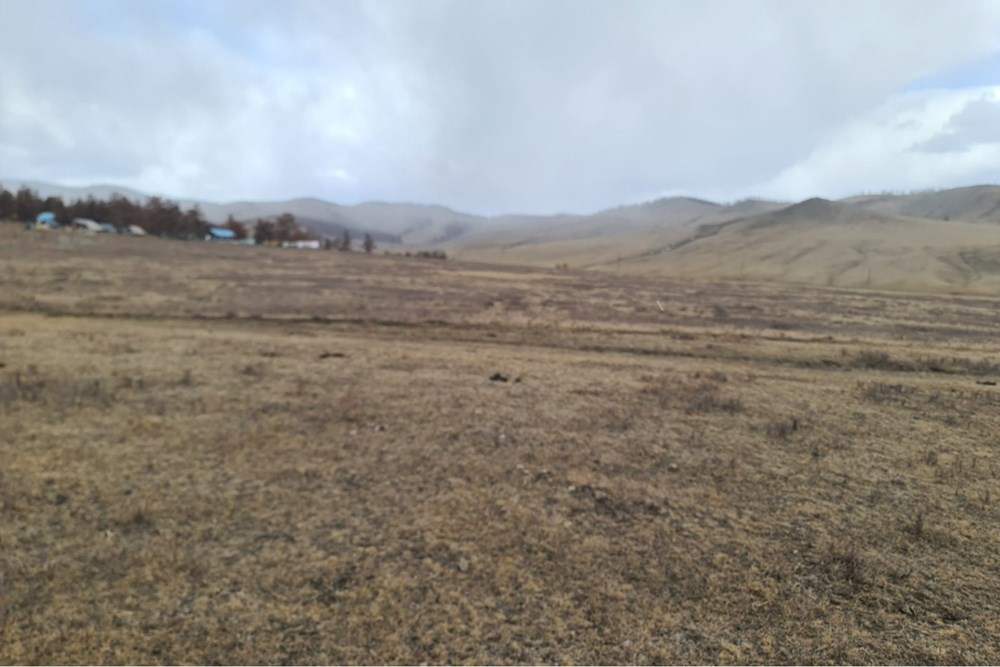 5146мкв газар зарна