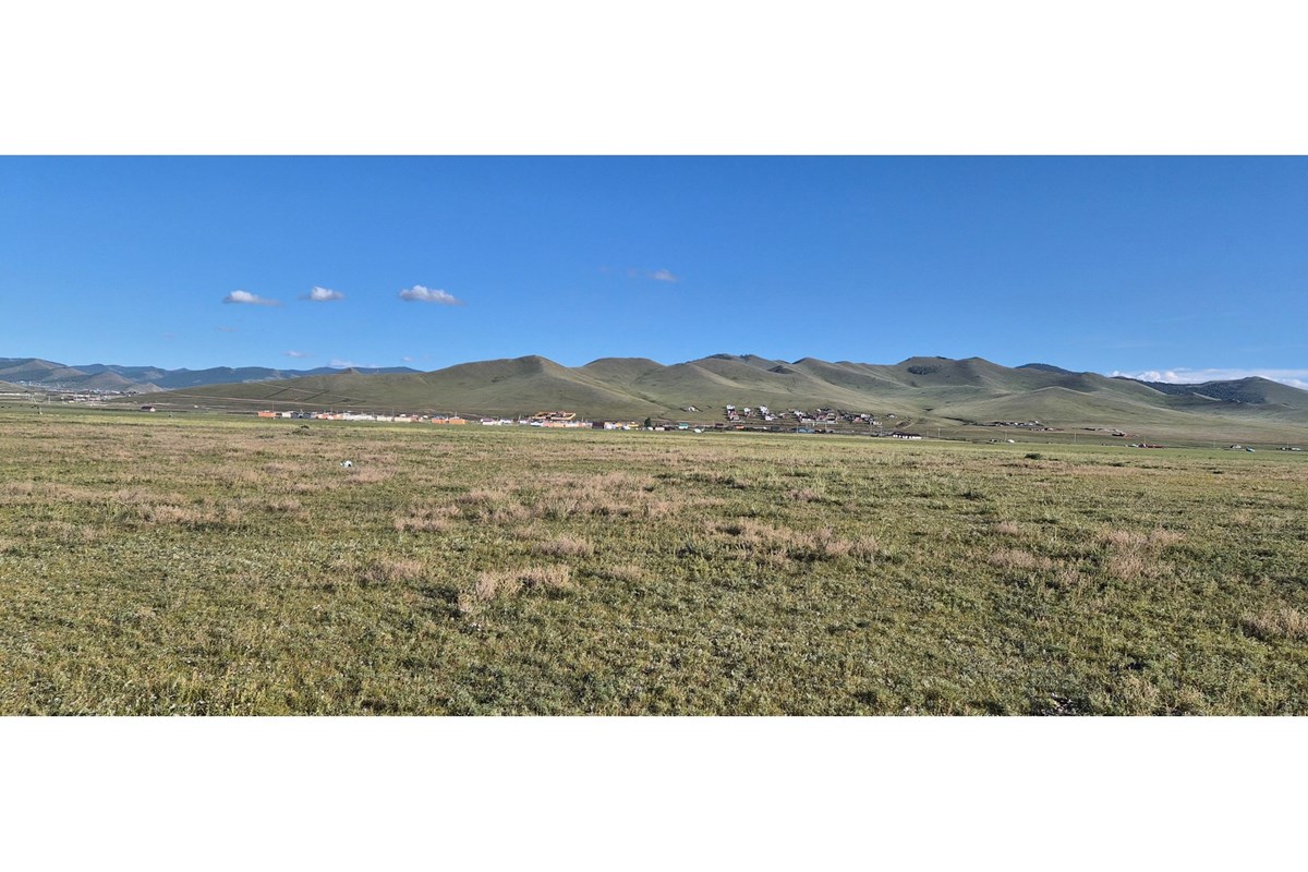 land for sale — 4