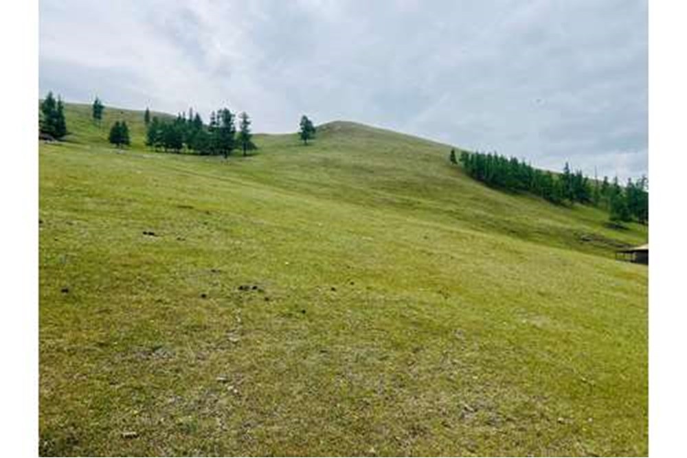 699мкв газар зарна