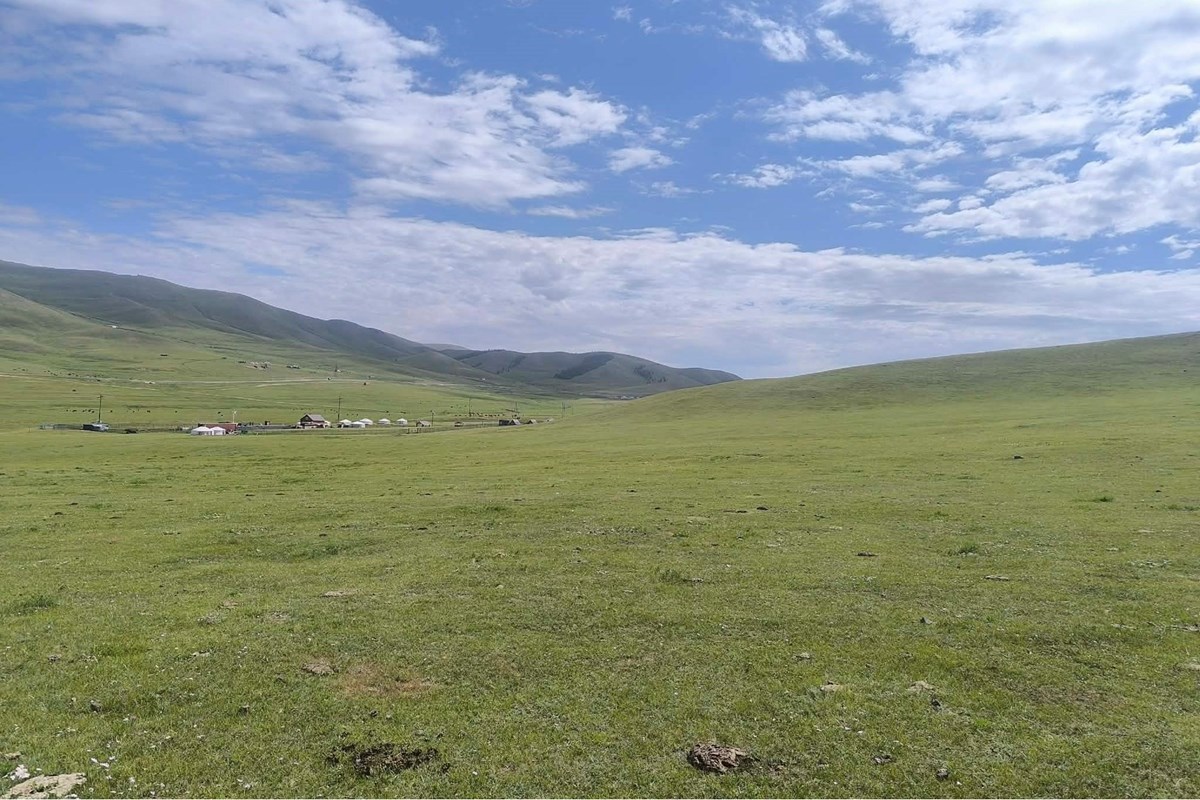 land for sale — 10