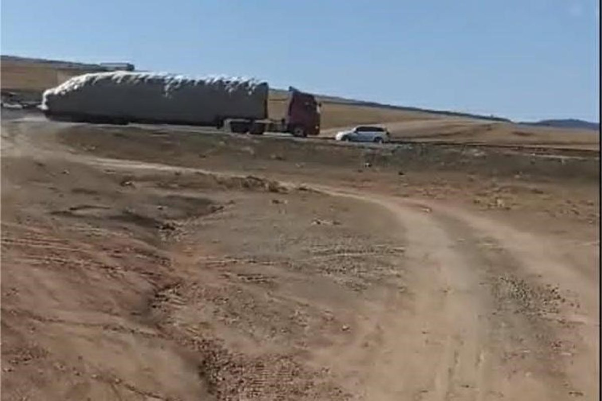 10000мкв газар зарна