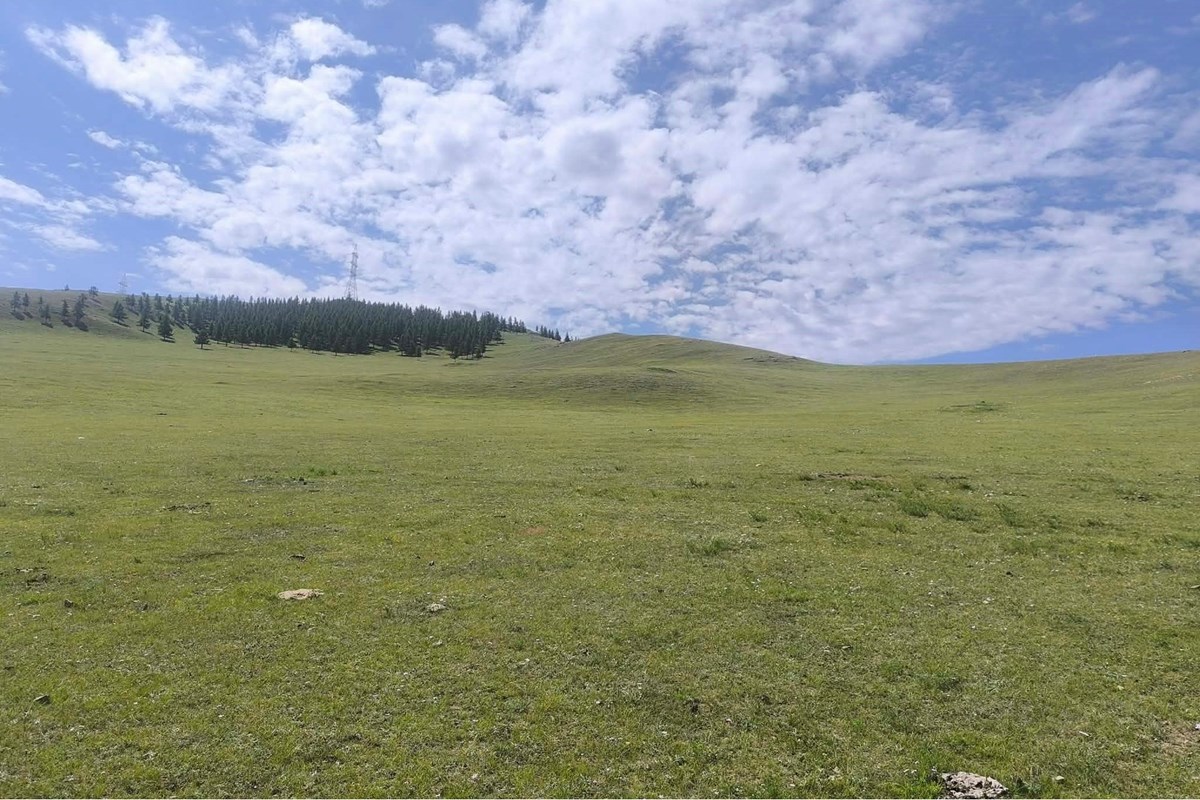 land for sale — 9