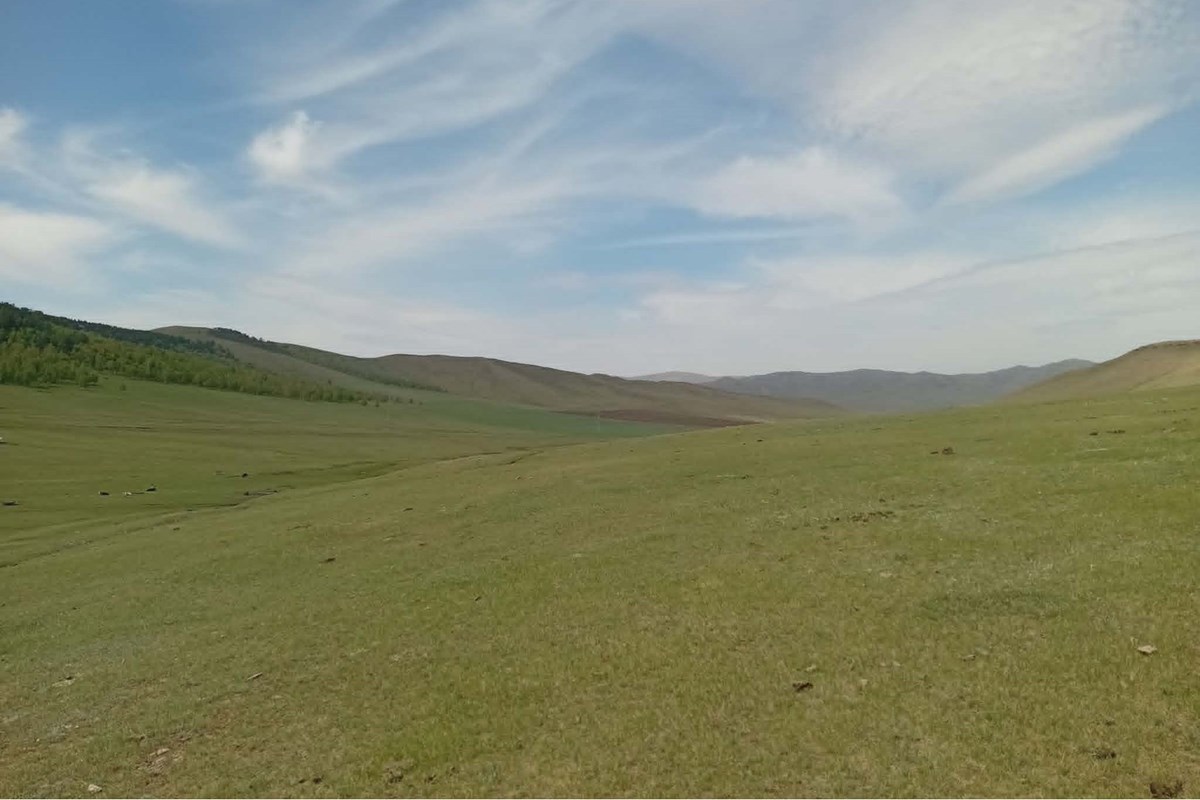 1400мкв газар зарна